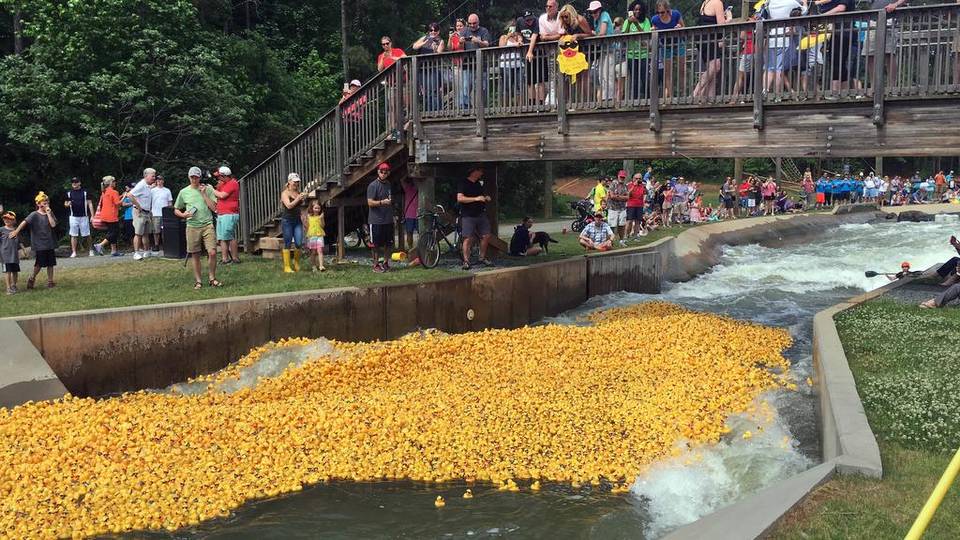 six duck races the last weekend of April - Charlotte