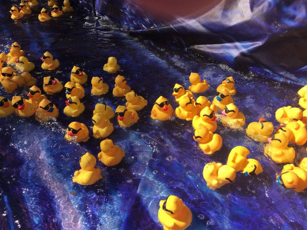 Duck Race 