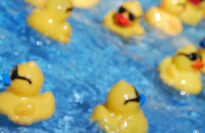 The Alpha Group Zoom Duck Derby
