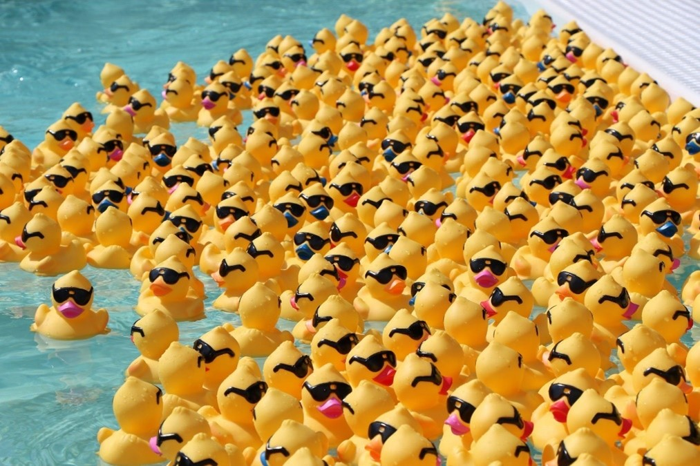 St Mary’s Ducky Derby