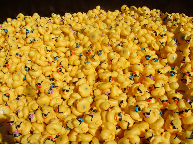 Second Harvest Food Bank of New Orleans Duck Derby